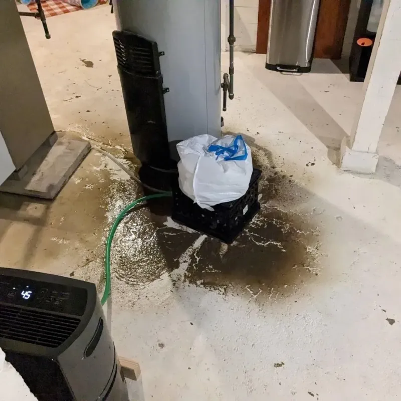 Sewage Backup Cleanup Service in Riddle, OR